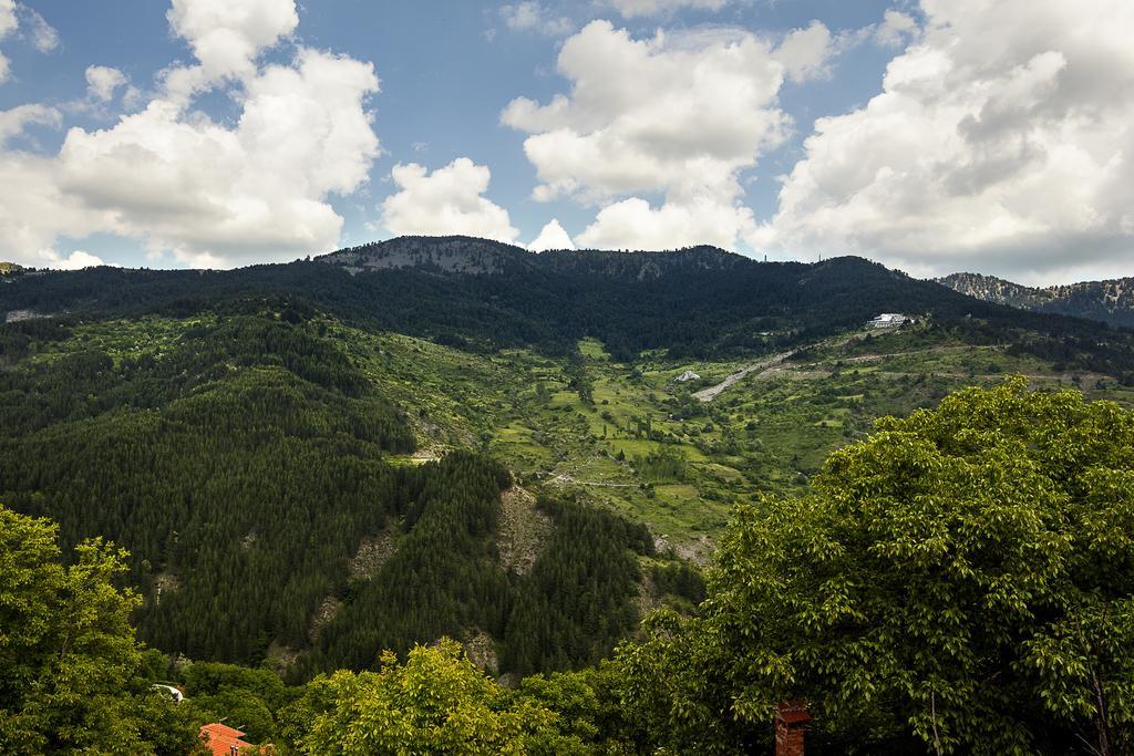 Aroma Dryos Spa & Eco Hotel Metsovo Rum bild