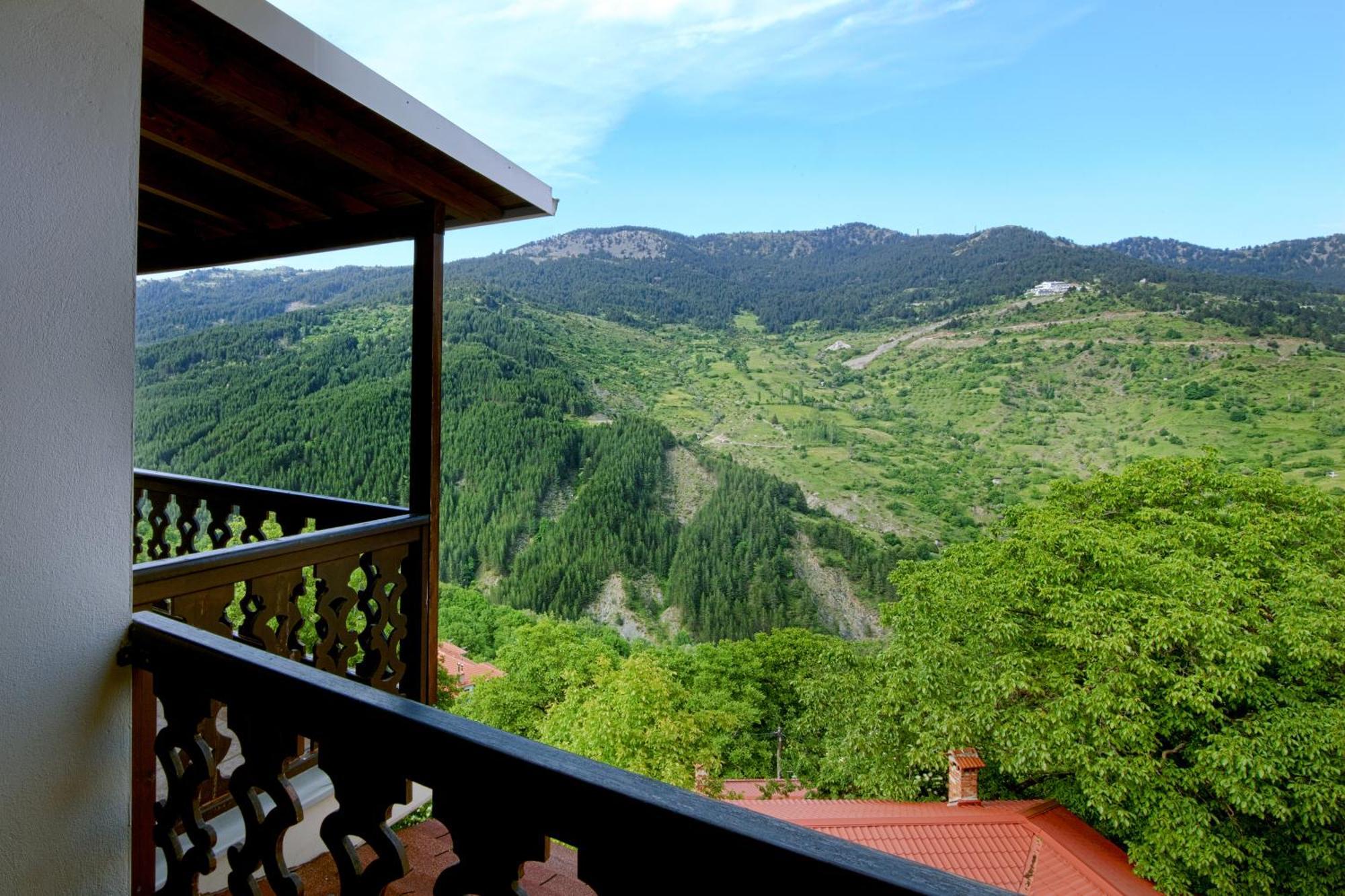 Aroma Dryos Spa & Eco Hotel Metsovo Exteriör bild