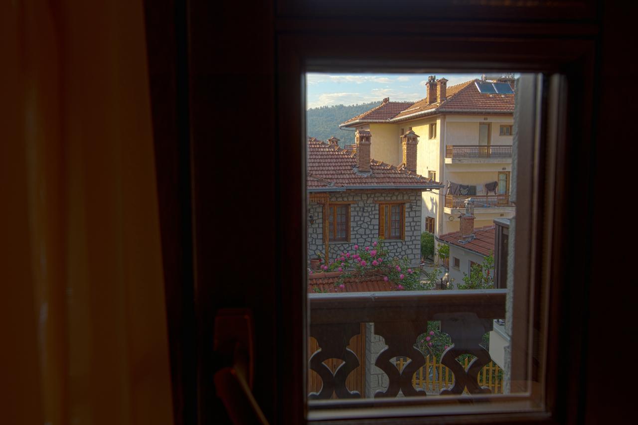 Aroma Dryos Spa & Eco Hotel Metsovo Exteriör bild