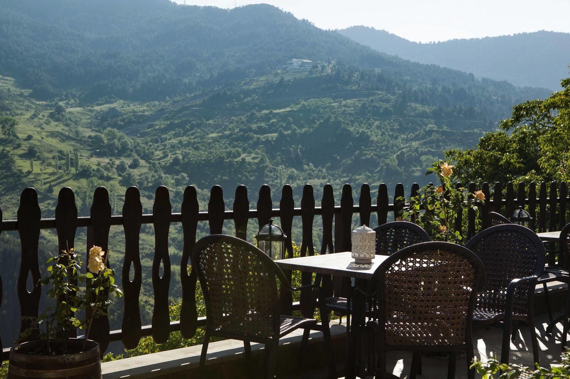 Aroma Dryos Spa & Eco Hotel Metsovo Exteriör bild