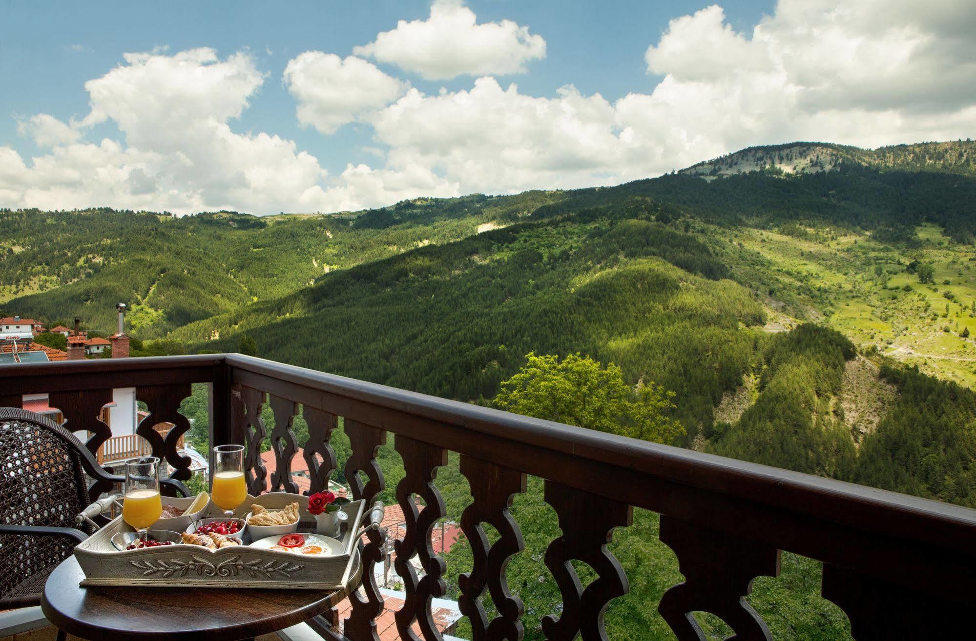 Aroma Dryos Spa & Eco Hotel Metsovo Exteriör bild